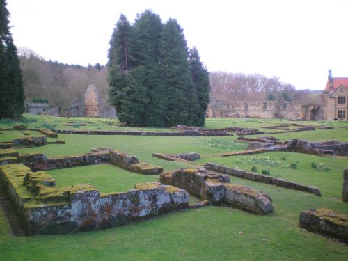 The ruins of Mount Grace Priory, Northallerton