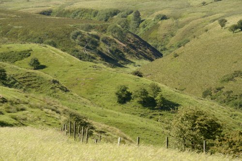 Moorland Gully above Upper Elkstone, Staffordshire