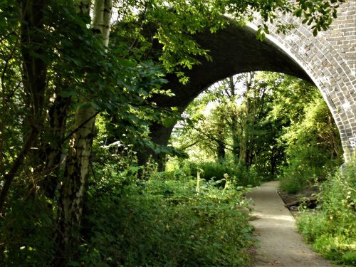 Catcliffe disused Railway Viaduct