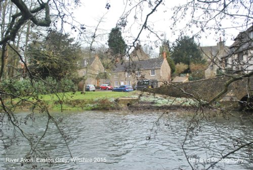 River Avon, Easton Grey, Wiltshire 2015