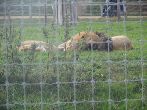 SOUTH YORKSHIRE WILDLIFE PARK