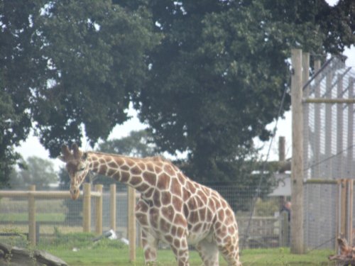 SOUTH YORKSHIRE WILDLIFE PARK