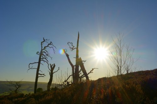 Top of Hen Cloud, The Roaches, Upper Hulme, Staffordshire Moorlands