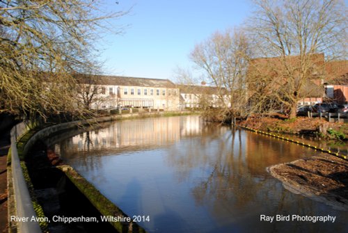 River Avon, Chippenham, Wiltshire 2014