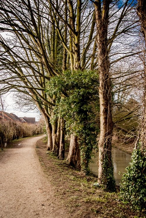 Louth Canal