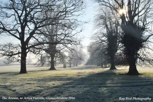 Centre Walk Avenue, nr Acton Turville, Gloucestershire 2016