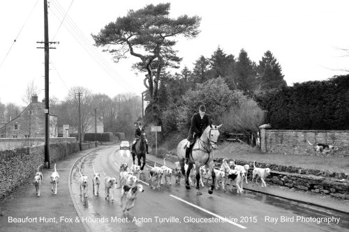 Beaufort Hunt, Acton Turville, Gloucestershire 2015