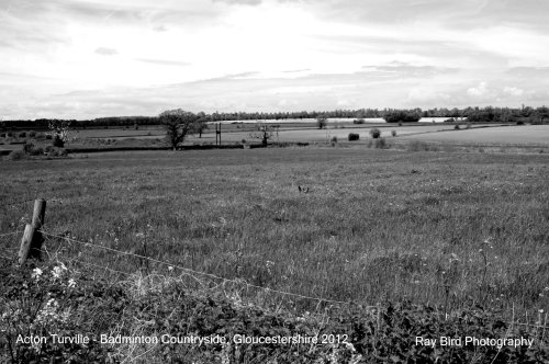 Acton Turville Countryside, Gloucestershire 2012