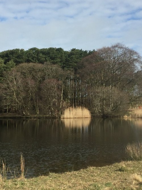 Talkin Tarn April sunshine