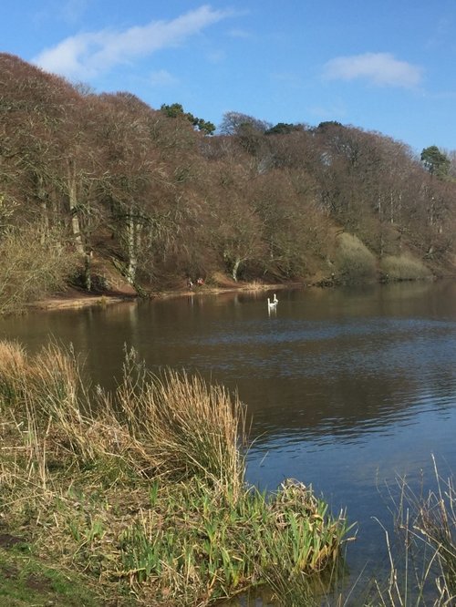 Last week of Easter holidays, Talkin Tarn