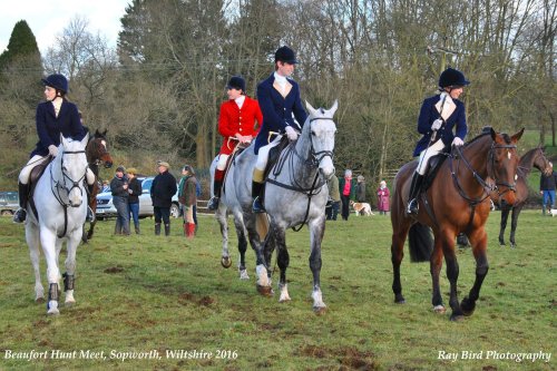 Beaufort Hunt Meet, Sopworth, Wiltshire 2016