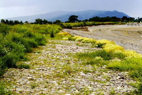 Beach, nr Dunster, Somerset 1991