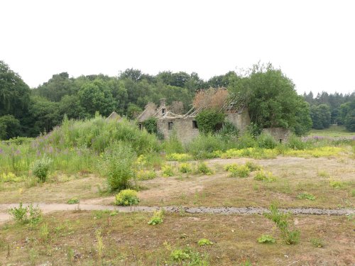 Abandoned building project taken over by nature