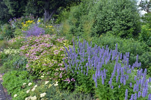 Herbaceous Border, Salutation Garden