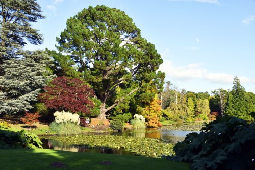 Sheffield Park Garden, Uckfield,