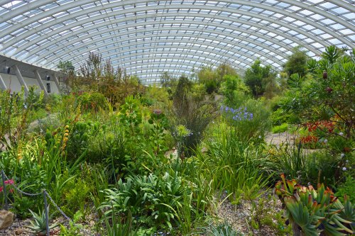 National Botanical Garden of Wales