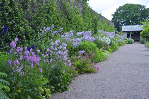 Aberglasney Garden