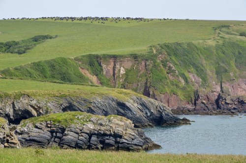 Pembroke Coastal Path