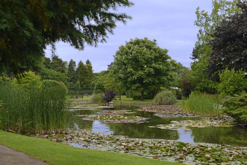 Burnby Hall Garden