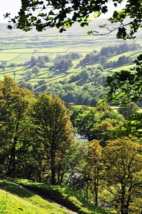 Swaledale, North Yorkshire