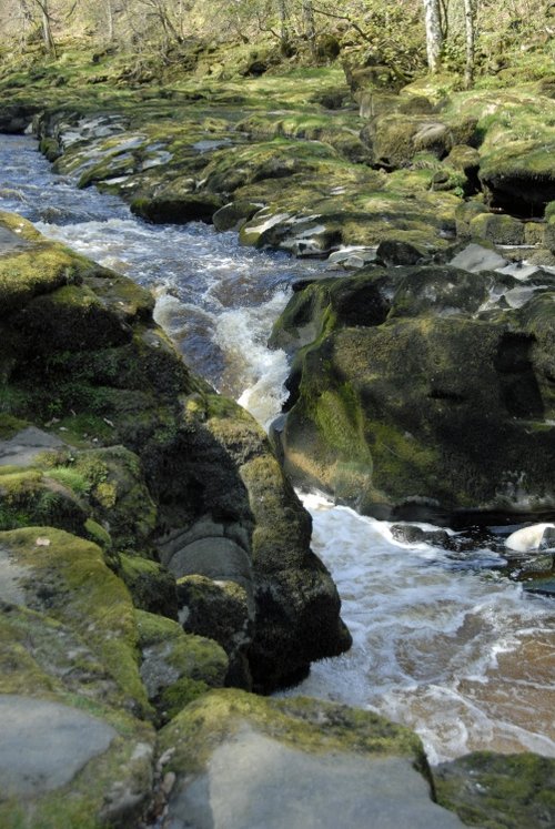 The Strid, Bolton Abbey