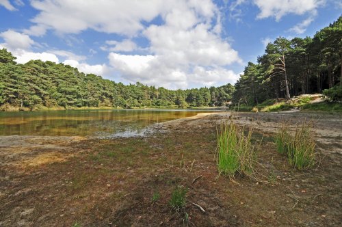 Blue Pool, Furzebrook