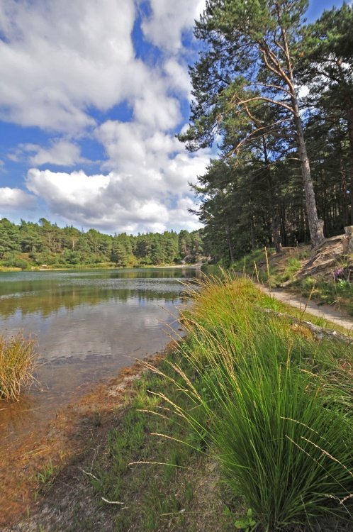 Blue Pool, Furzebrook