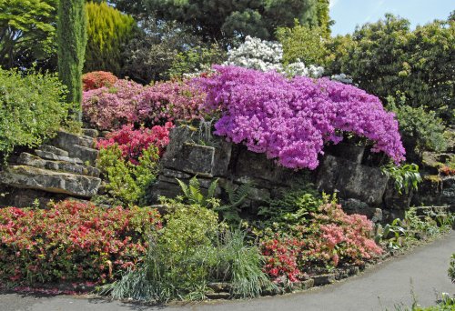 Leonardslee Garden, West Sussex