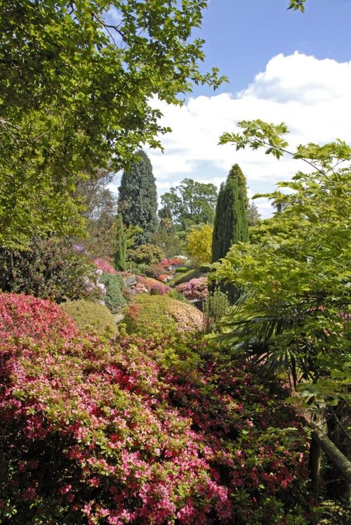 Leonardslee Garden, West Sussex