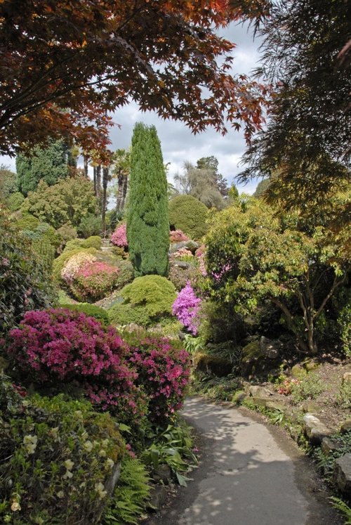 Leonardslee Garden, West Sussex