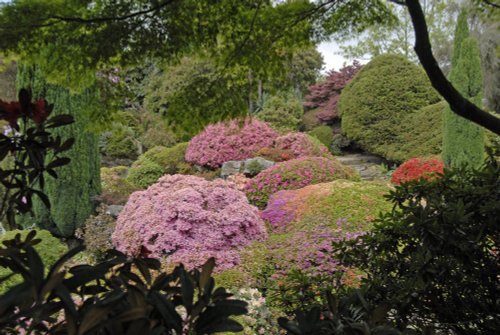 Leonardslee Garden, West Sussex