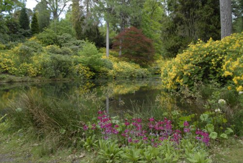 Leonardslee Garden, West Sussex