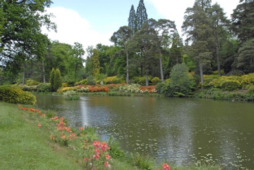 Leonardslee Garden, West Sussex