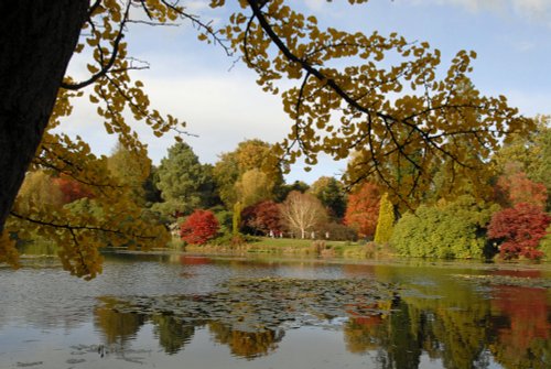 Sheffield Park Garden, Uckfield