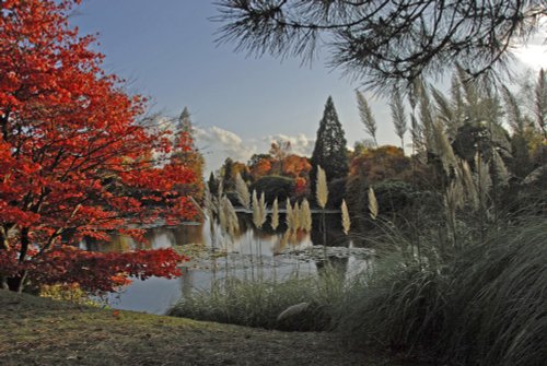 Sheffield Park Garden, Uckfield