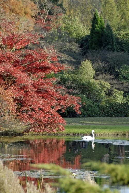 Sheffield Park Garden, Uckfield