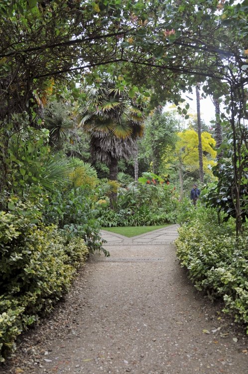 Abbotsbury Tropical Garden