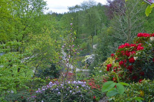 Himalayan Garden and Sculpture Park, near Ripon