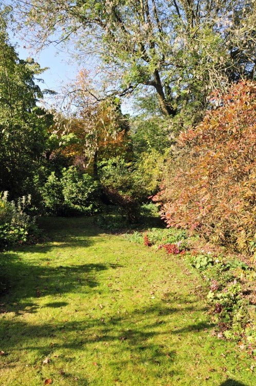 Beech Court Garden