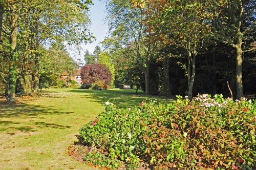 Beech Court Garden