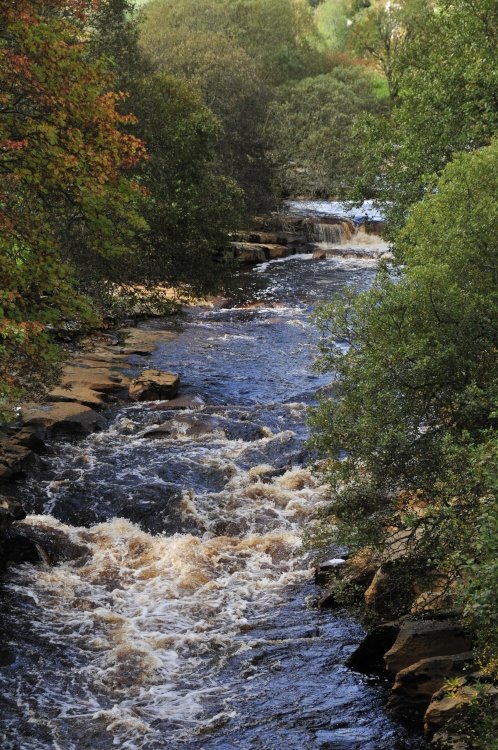 River Swale