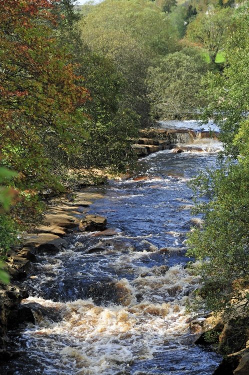 River Swale