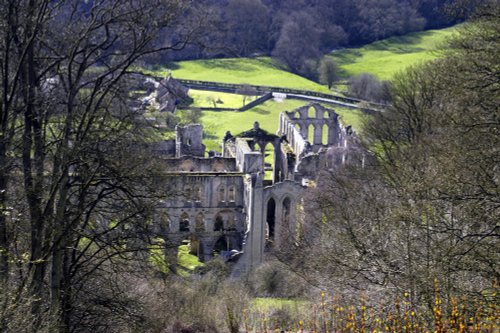 Rievaulx Abbey from the Terrace