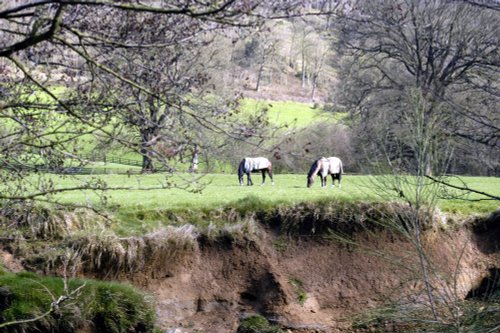 Sleightholmedale, Fadmoor, North Yorkshire