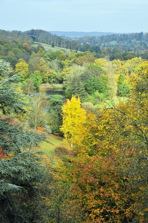 Winkworth Arboretum, Surrey