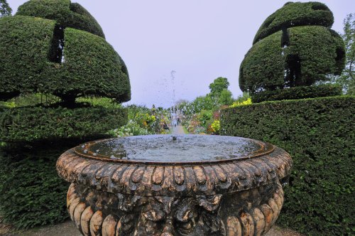 Nymans Garden