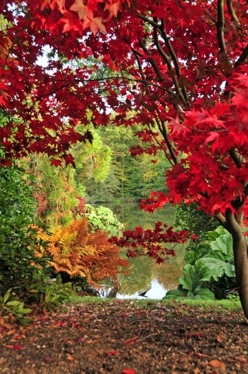 Sheffield Park Garden, Uckfield