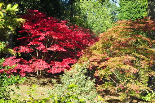 Hole Park Garden