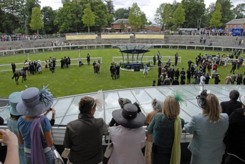 Royal Ascot - parade ring