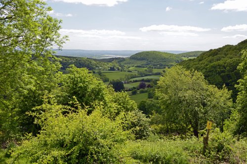 View from Plump Hill near Mitcheldean